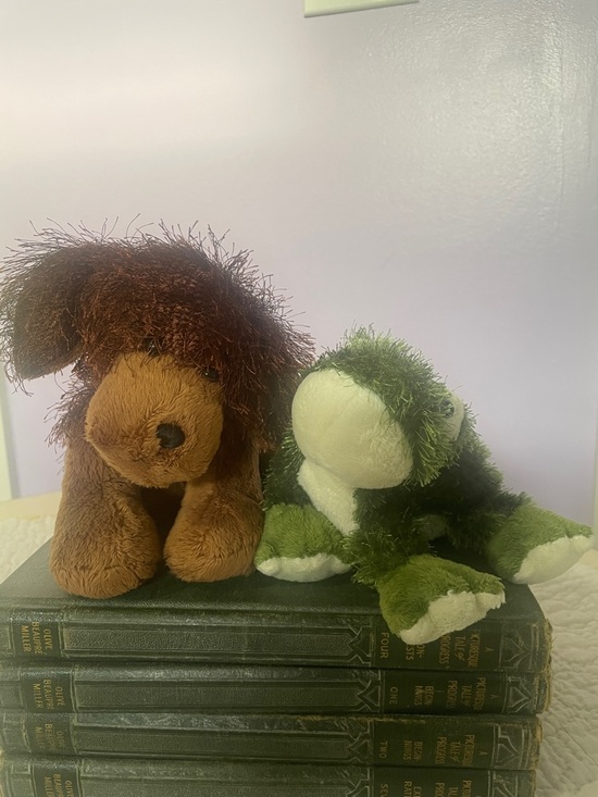 GANZ Other - Webkinz Plush Brown Puppy and Green Frog Stuffed Animals - like new no codes